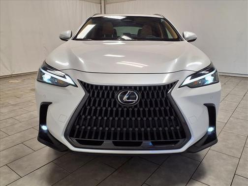 2025 Lexus NX 250 Premium