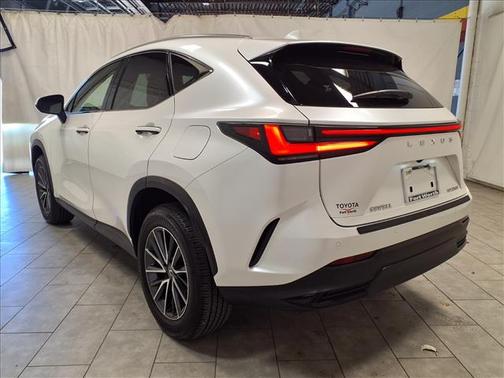 2025 Lexus NX 250 Premium