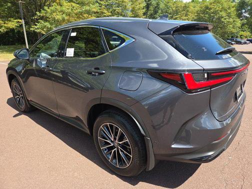 2025 Lexus NX 350h Luxury