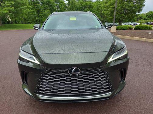 2025 Lexus RX 350 Luxury
