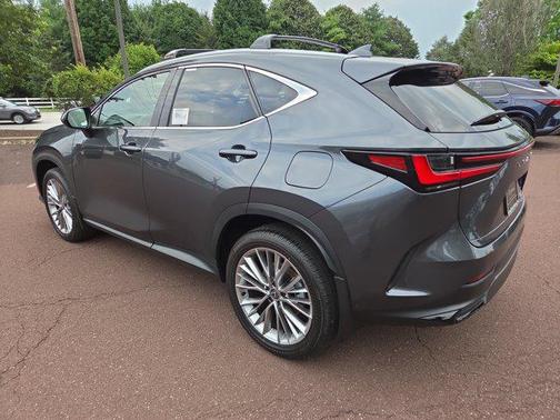 2025 Lexus NX 350h Premium