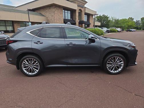 2025 Lexus NX 350h Premium