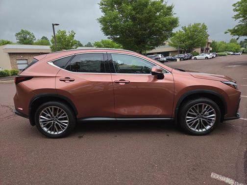 2025 Lexus NX 350h Premium