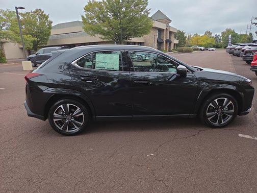 2025 Lexus UX 300h Premium