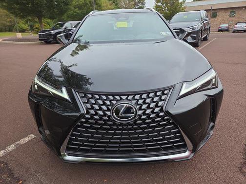 2025 Lexus UX 300h Premium