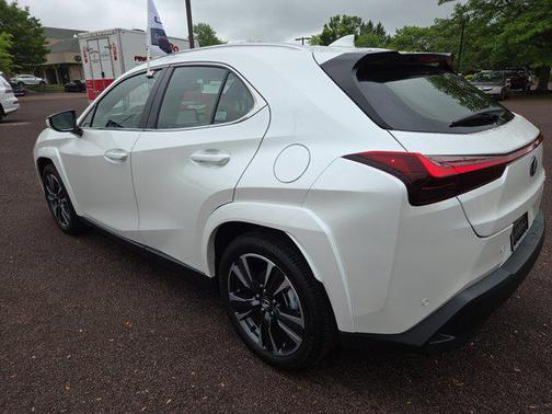2025 Lexus UX 300h Premium