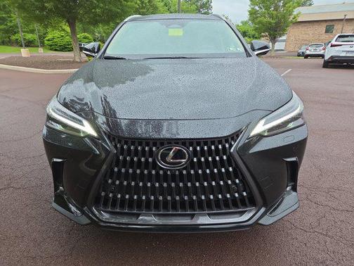 2025 Lexus NX 350 Luxury
