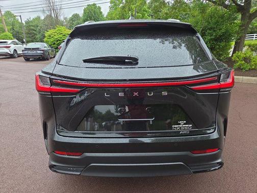 2025 Lexus NX 350 Luxury