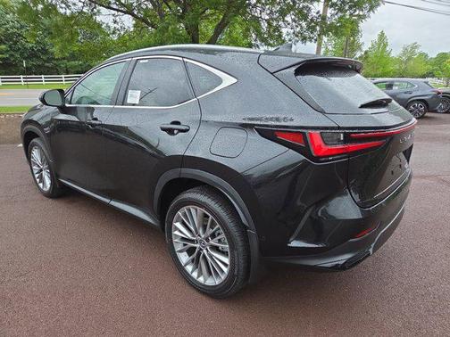 2025 Lexus NX 350 Luxury
