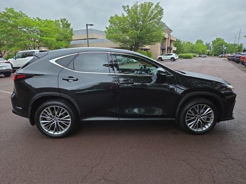 2025 Lexus NX 350 Luxury