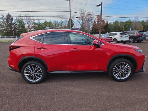 2025 Lexus NX 350 Premium