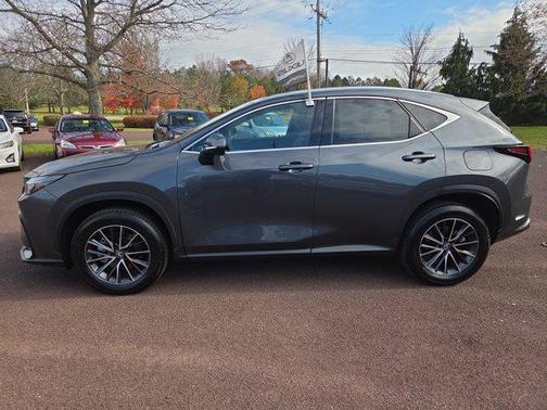 2025 Lexus NX 350 Premium