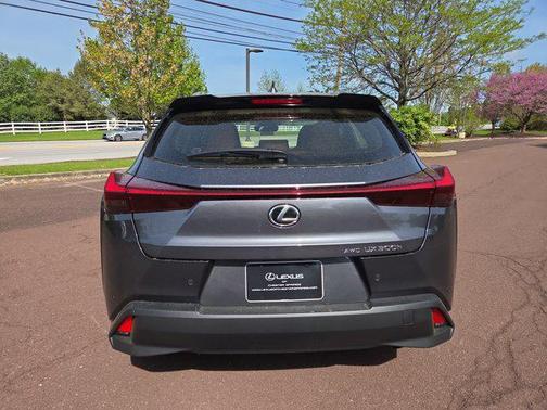 2025 Lexus UX 300h Premium
