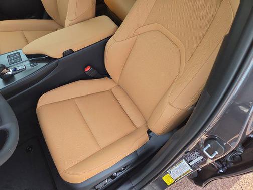 2025 Lexus UX 300h Premium