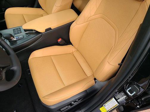 2025 Lexus UX 300h Premium