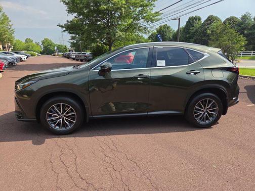 2025 Lexus NX 350h Luxury
