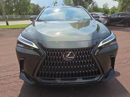 2025 Lexus NX 350h Luxury