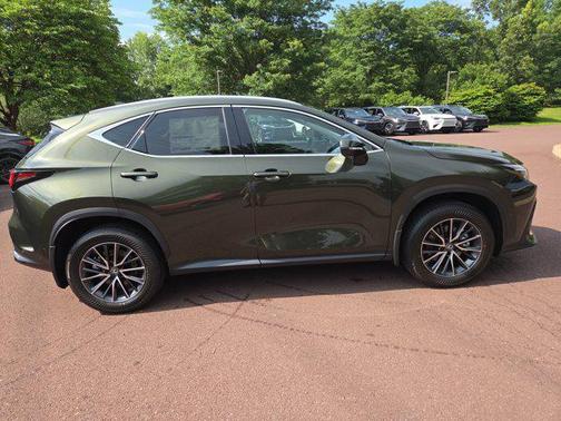 2025 Lexus NX 350h Luxury