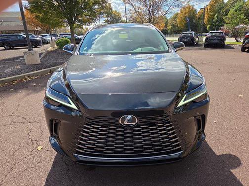 2025 Lexus RX 350 Luxury