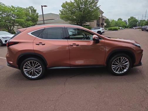 2025 Lexus NX 350h Premium