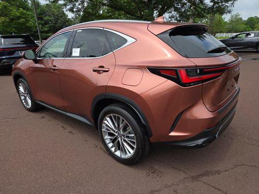 2025 Lexus NX 350h Premium