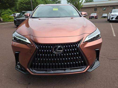 2025 Lexus NX 350h Premium