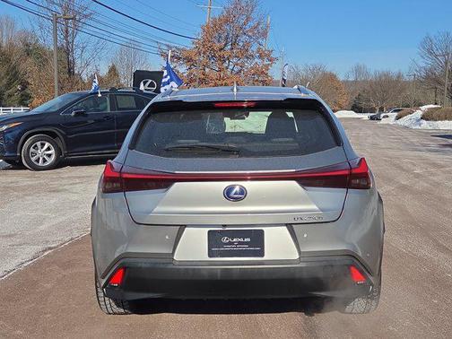 2019 Lexus UX 250h Base