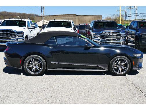 Shadow Black 2025 Ford Mustang EcoBoost Premium