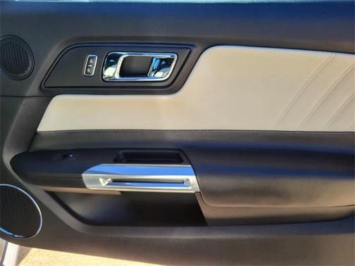 2015 Ford Mustang GT 50 Years Limited Edition