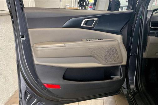 Panthera Metal 2026 Kia Carnival LXS