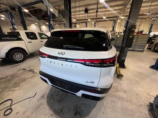 Majestic White 2023 INFINITI QX60 Luxe