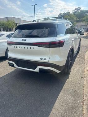 Majestic White 2025 INFINITI QX60 Luxe