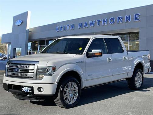 2013 Ford F-150 Platinum