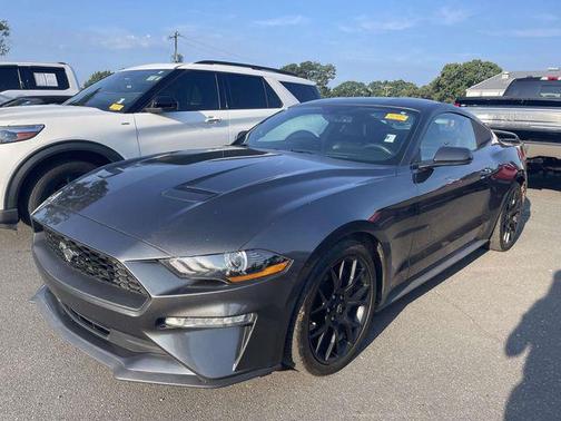 Magnetic 2019 Ford Mustang EcoBoost Premium