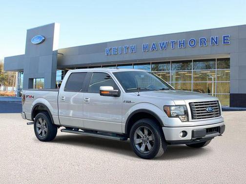 Ingot Silver 2011 Ford F-150 FX4