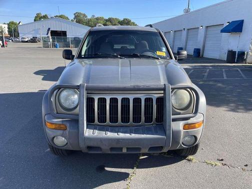Light Khaki Metallic Clearcoat 2004 Jeep Liberty Sport