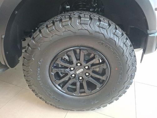 Avalanche 2026 Ford F-150 Raptor