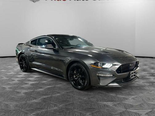 Magnetic Metallic 2020 Ford Mustang GT