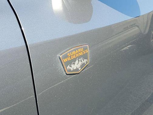 Gray Metallic 2024 Subaru Outback Wilderness