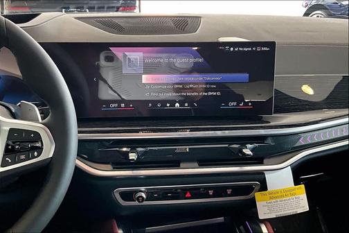 Skyscraper Grey Metallic 2026 BMW X6 xDrive40i