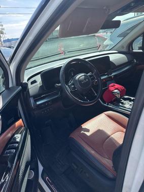 Snow White Pearl 2024 Kia Carnival SX