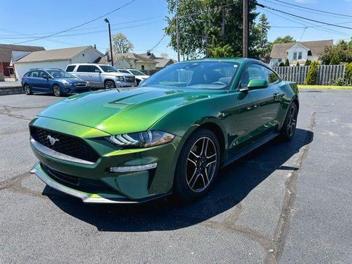 Eruption Green Metallic 2023 Ford Mustang EcoBoost