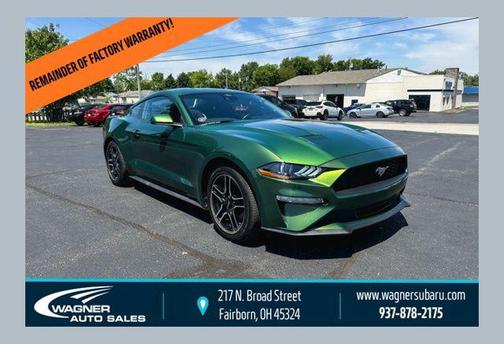 Eruption Green Metallic 2023 Ford Mustang EcoBoost