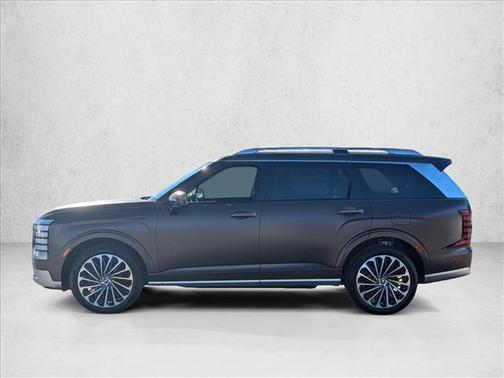 Earthy Brass Matte 2026 Hyundai PALISADE Calligraphy