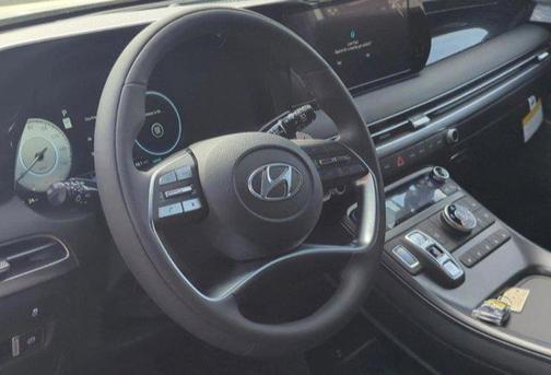 Hyper White 2025 Hyundai PALISADE Calligraphy Night Edition