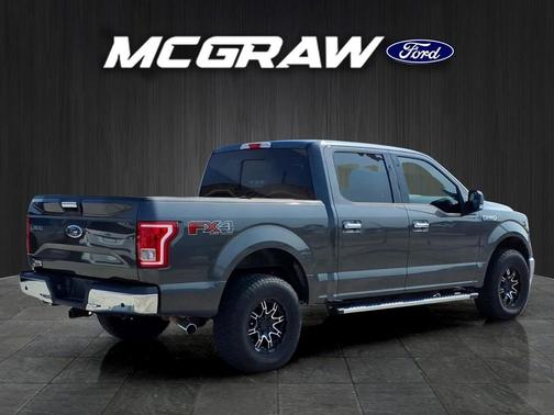 Magnetic 2017 Ford F-150 XLT