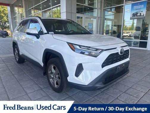 Ice Cap 2024 Toyota RAV4 XLE