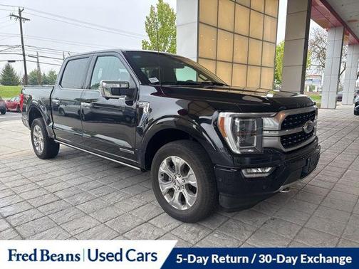Agate Black Metallic 2023 Ford F-150 Platinum