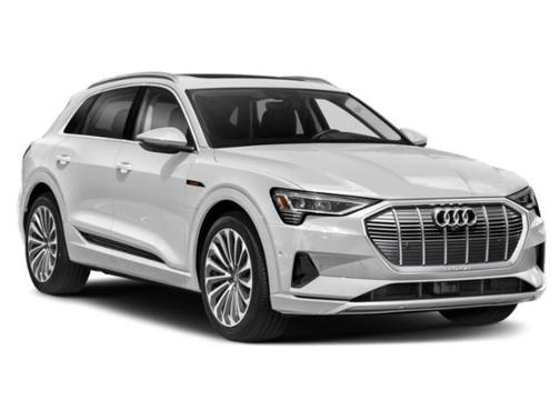 Glacier White 2021 Audi e-tron Premium