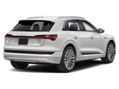 Glacier White 2021 Audi e-tron Premium